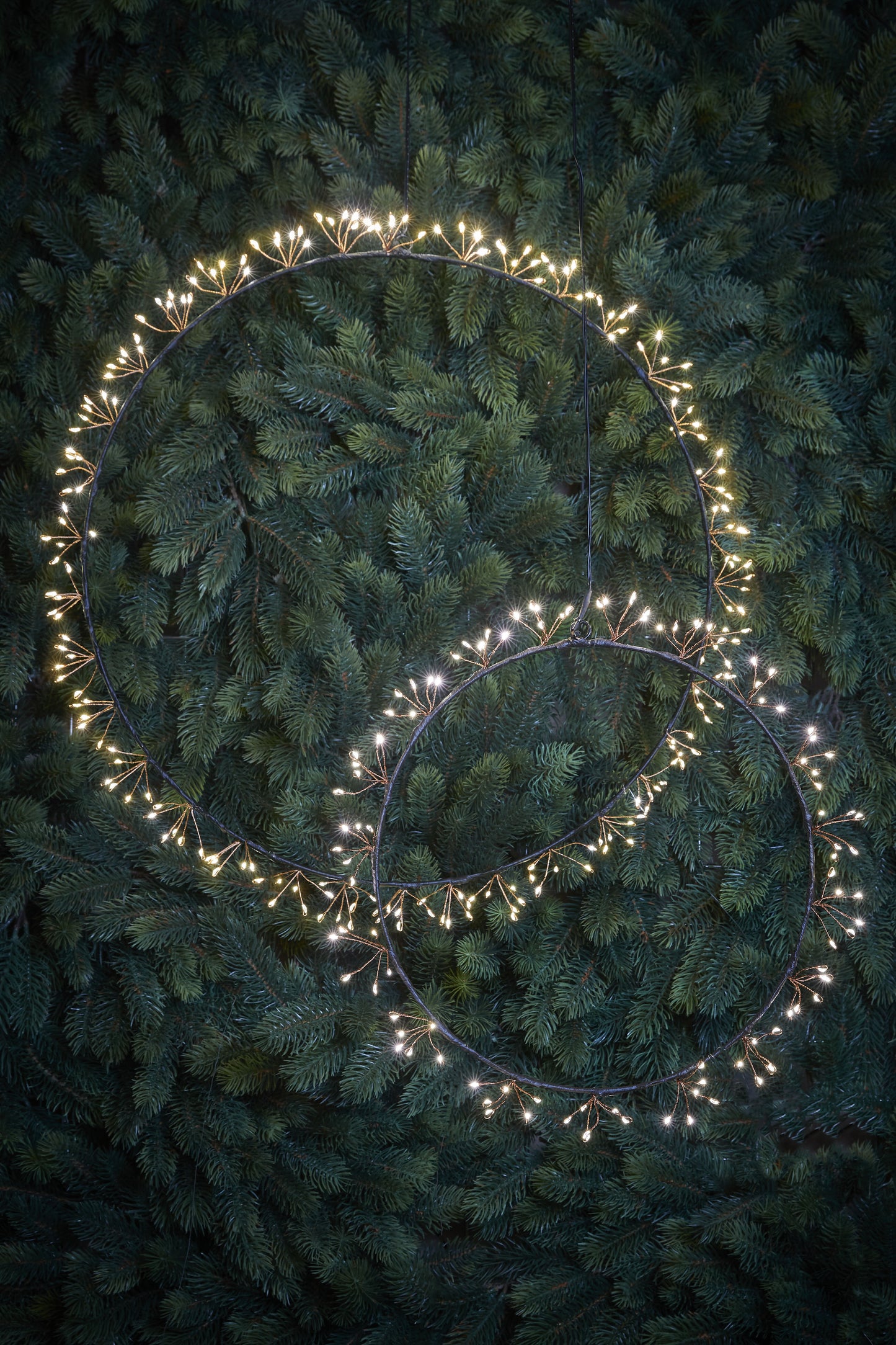 Wreath Black Warm White 210Led Ip44 - D50Cm