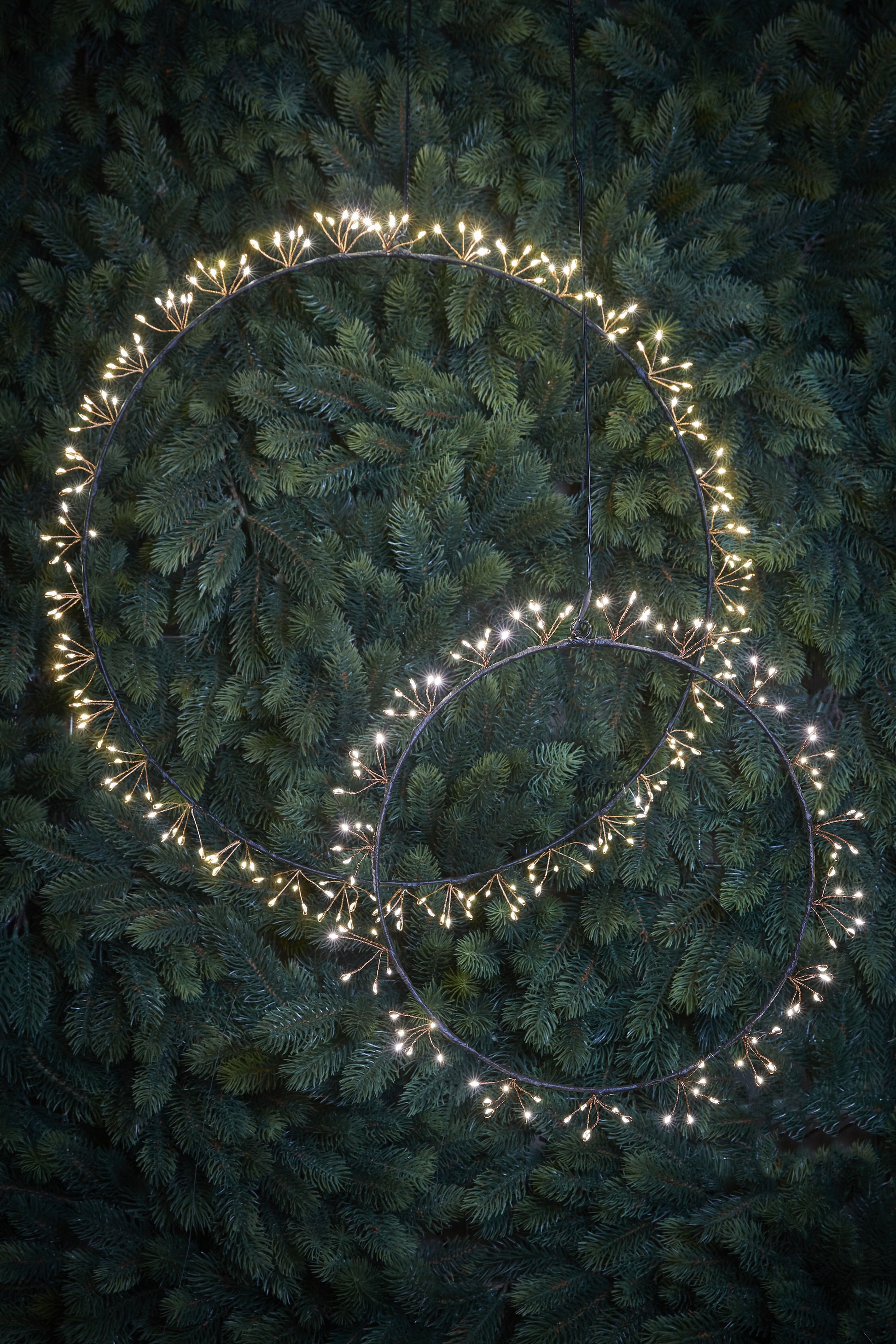 Wreath Black Warm White 210Led Ip44 - D50Cm