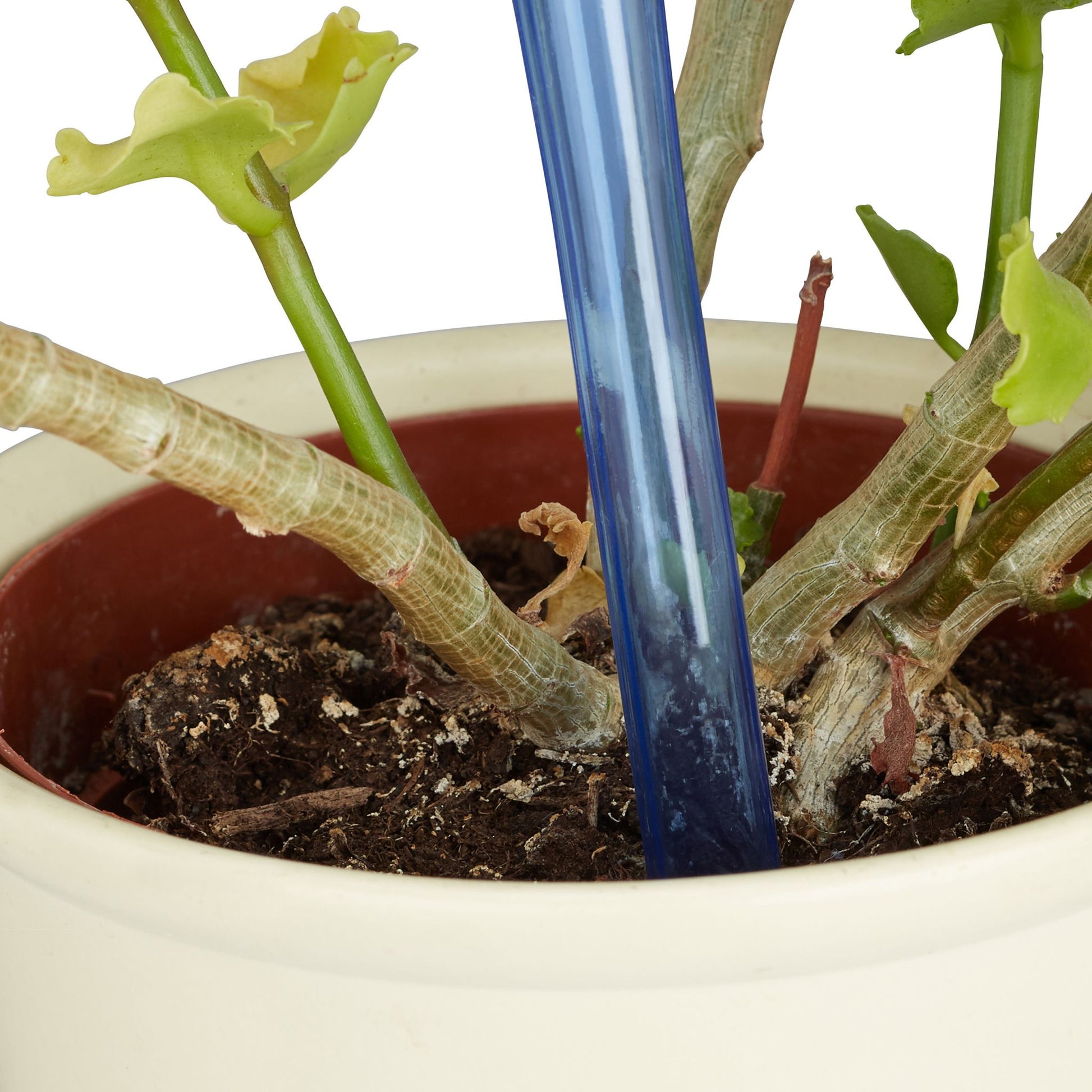 Waterdruppelaar Voor Planten - 4 Stuks - Blauw - Pvc